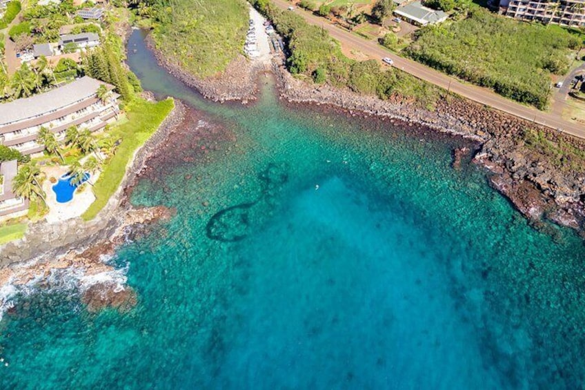 Sky view of Koloa Landing Dive Site