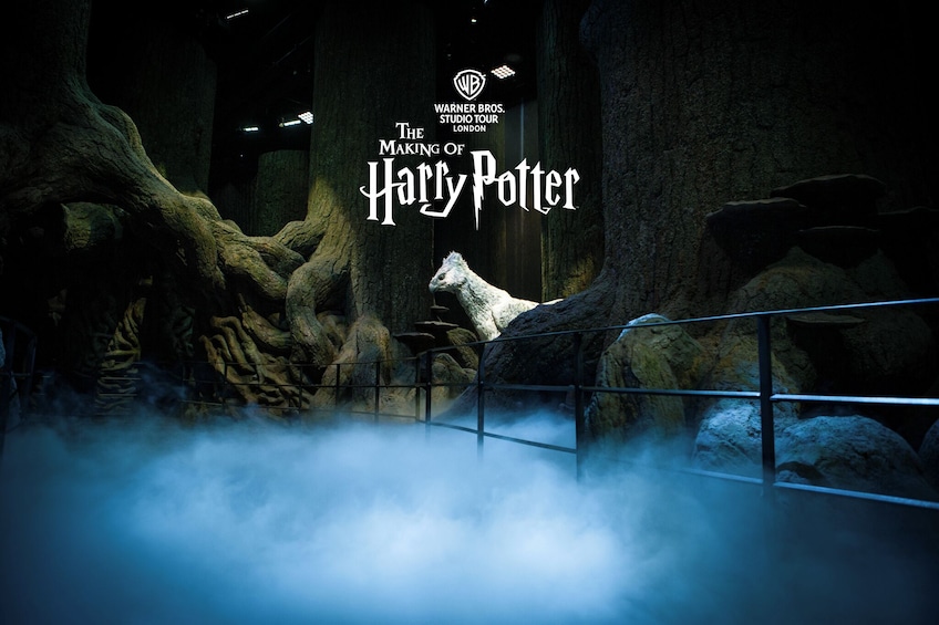 Warner Bros. Studio – The Making of Harry Potter Fully Guided Tour by Train