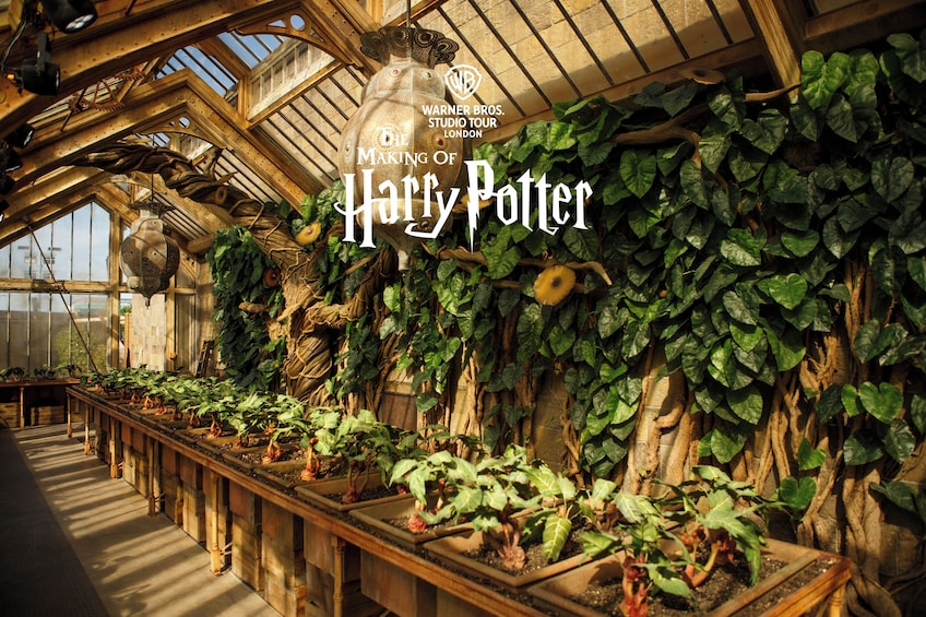 Warner Bros. Studio – The Making of Harry Potter Fully Guided Tour by Train