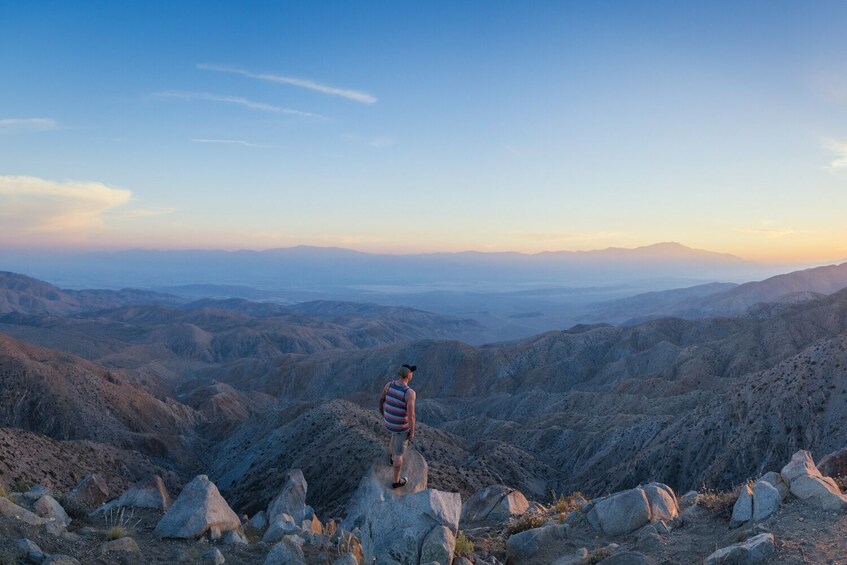 Joshua Tree National Park: Self-Driving Audio Tour