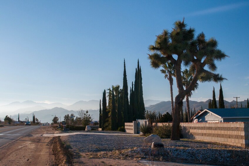 Joshua Tree National Park: Self-Driving Audio Tour