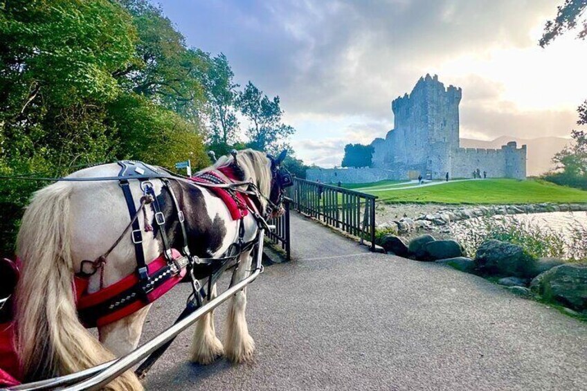 Killarney Jaunting Car Tour