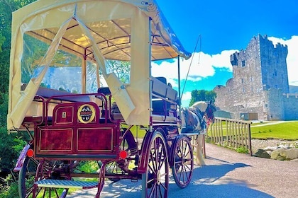 Killarney Jaunting Car Tour