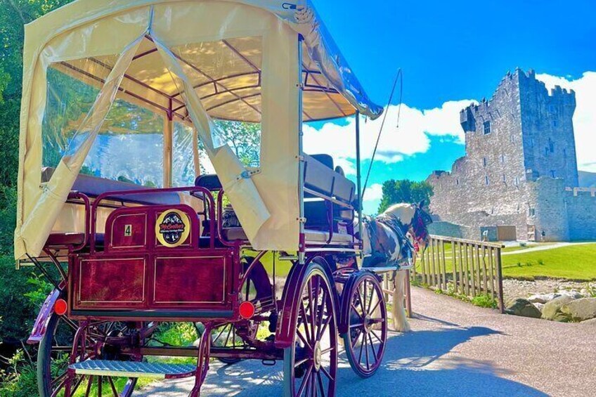 Killarney Jaunting car tour