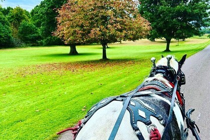 Killarney Jaunting Car Tour