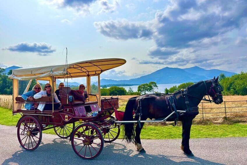 Killarney National Park