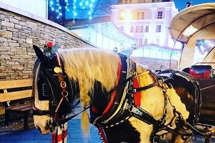 Killarney Jaunting Car Tour