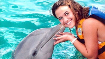 Dolphin Swim Programme