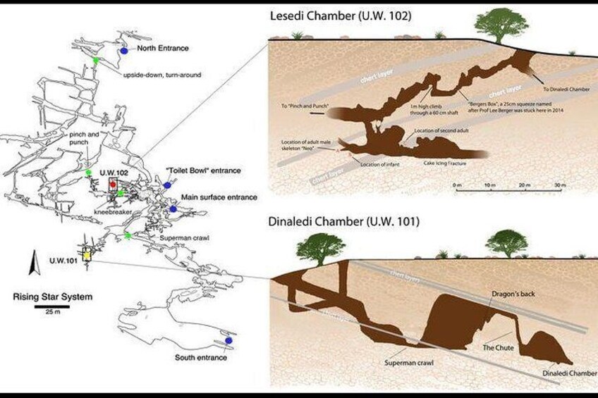 Full-Day Cradle of Humankind Guided Tour from Johannesburg or Pretoria