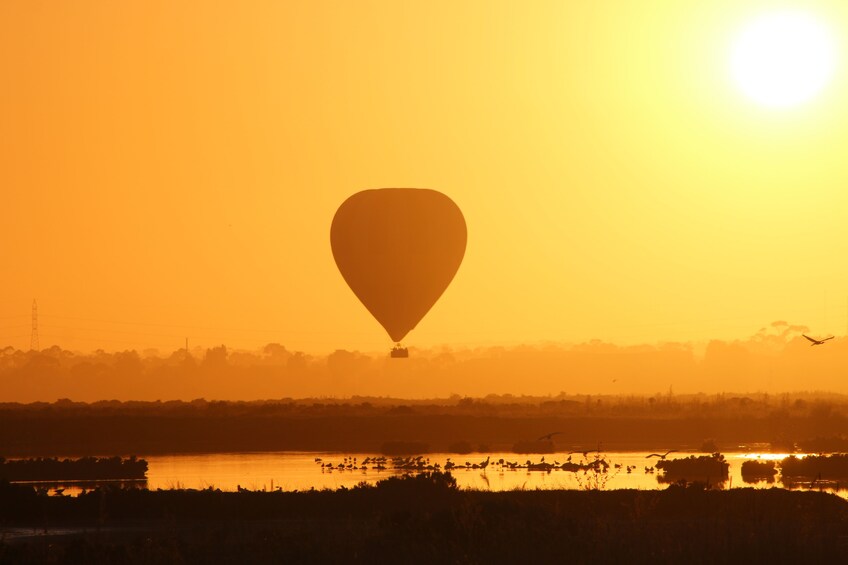 Hot Air Balloon Rides Perth (Avon Valley)