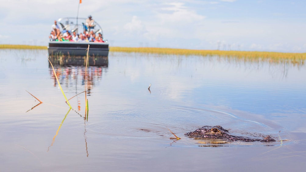 Private Everglades Airboat Ride