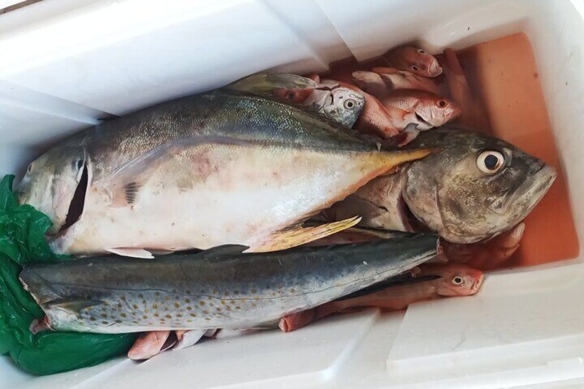 Blue Sea Sport Fishing Tours