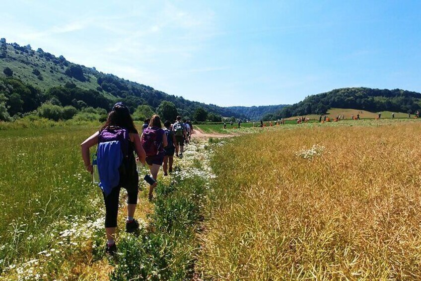 Walking Through The Wye Valley