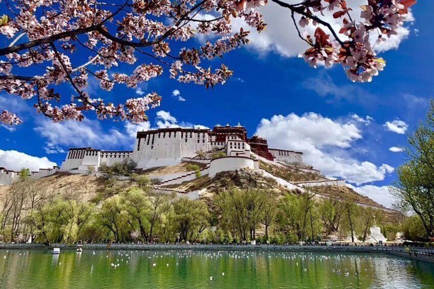 3-Night Lhasa City Small Group Tour