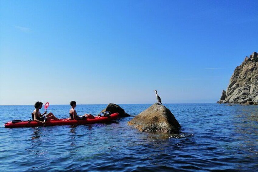 Kayak Experience with Carnassa Tour in the Cinque Terre-Punta Mesco + Snorkeling