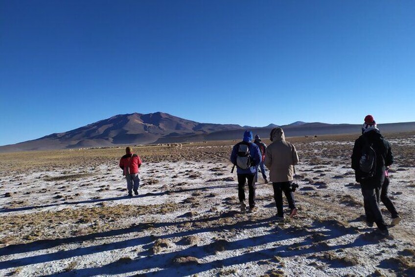 Salar de Uyuni - 1 full day tour