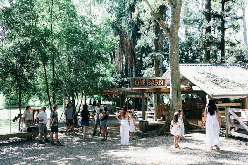 Tropical Fruit World Farm Full Tour