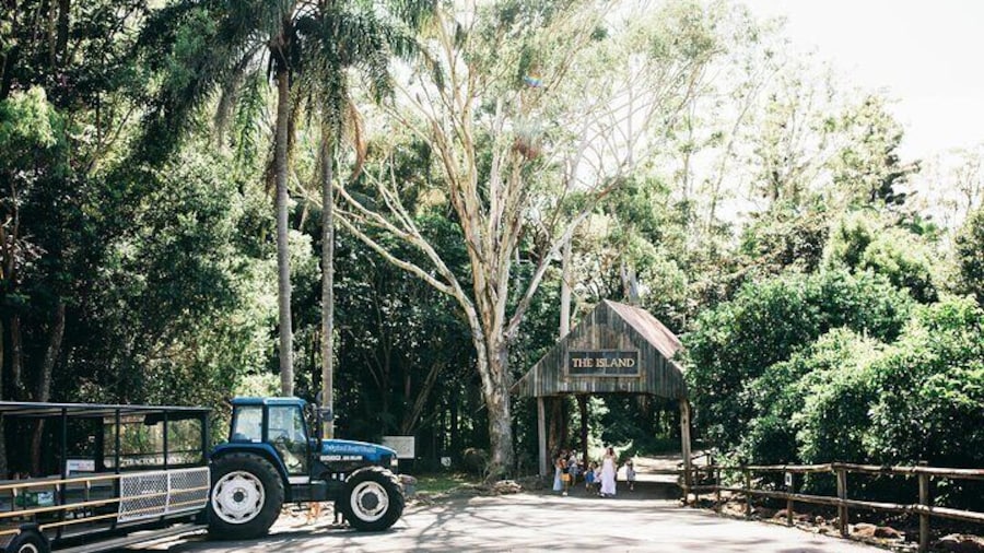 Tropical Fruit World Farm Full Tour