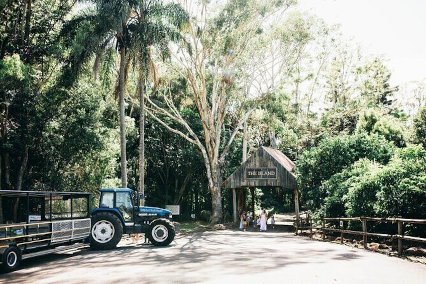 Tropical Fruit World Farm Full Tour