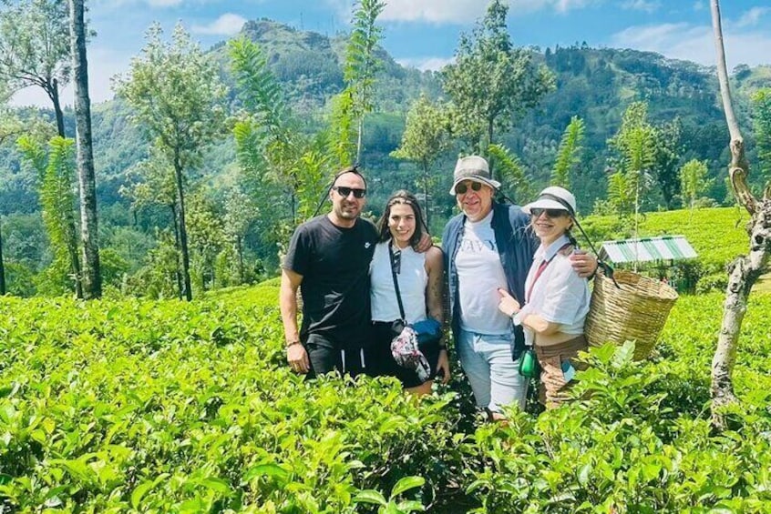 Nuwara eliya day tour from Kandy 