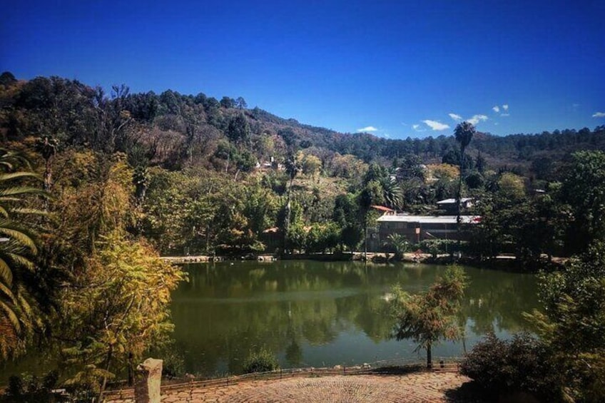 Tour of the Sierra Juárez, Guelatao and Capulálpam from Oaxaca