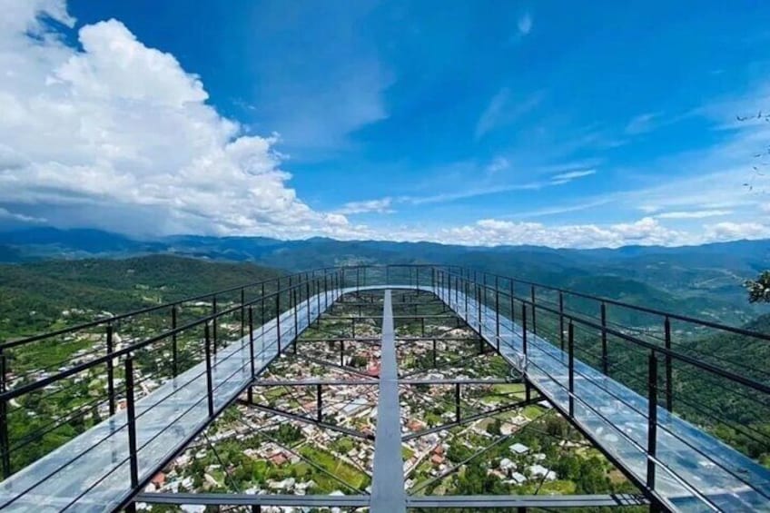 Tour of the Sierra Juárez, Guelatao and Capulálpam from Oaxaca