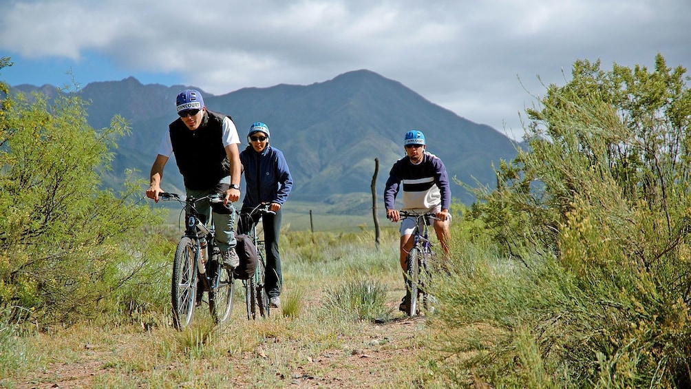 small group riding bikes along a green trail in Argentina