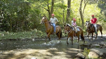 Horseback Riding Tour of 3 Rincón de la Vieja Waterfalls