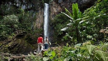 Hiking Tour to 3 Waterfalls in Rincón de la Vieja National Par