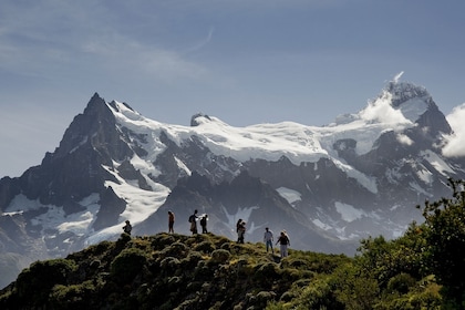 Excursión de un día a Torres del Paine desde El Calafate