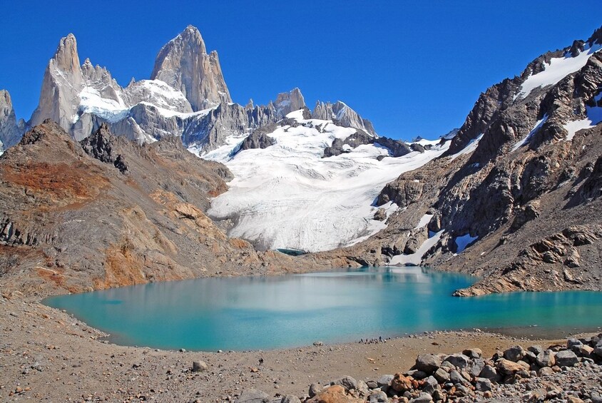 Torres del Paine Full-Day Tour