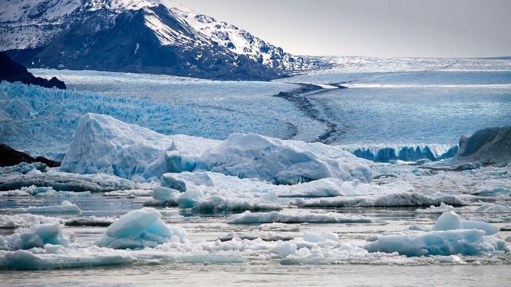 Glaciers floating in the ocean next to a Patagonian mountain