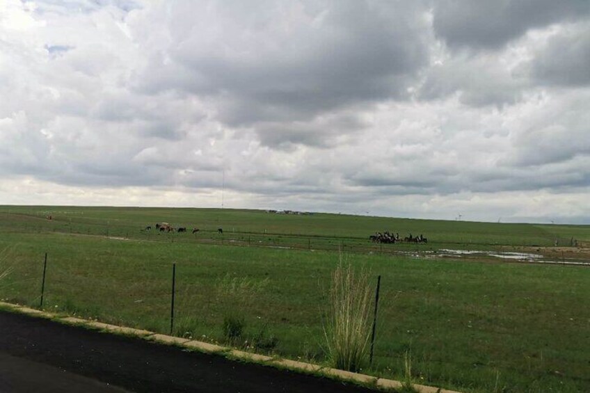 Private Full-Day Tour to Huitengxile Grassland from Hohhot