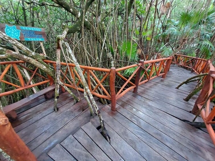 Explore Tulum and Swim in 4 Cenotes: Casa Tortuga. 