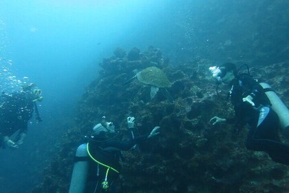 Night Dive Adventure in Academy Bay