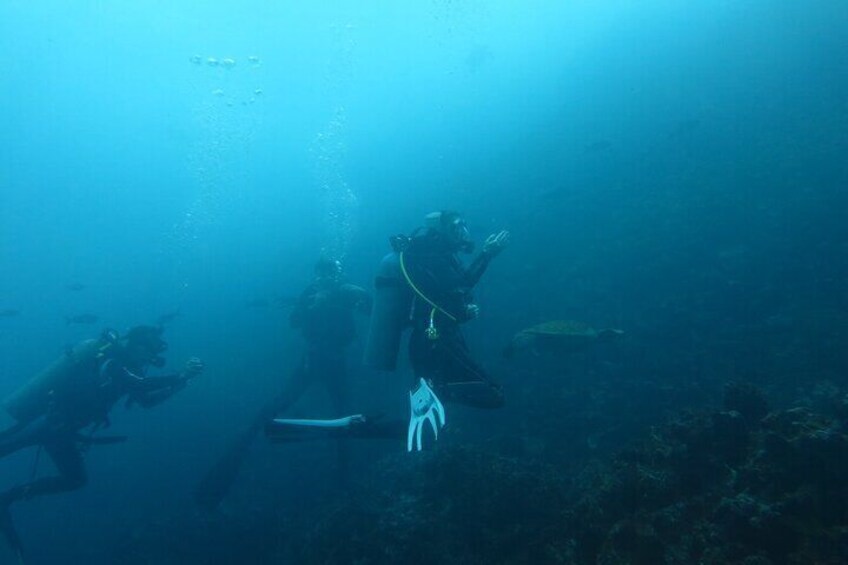 Night Dive Adventure in Academy Bay