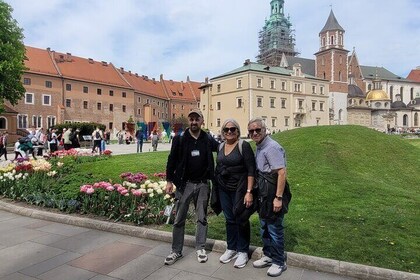 Krakow Cathedral Church and Wawel Castle tour in a small group