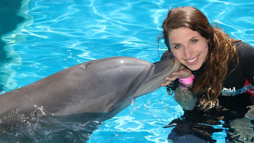 Woman receiving kiss from dolphin at dolphin encounter in Panama City, Florida