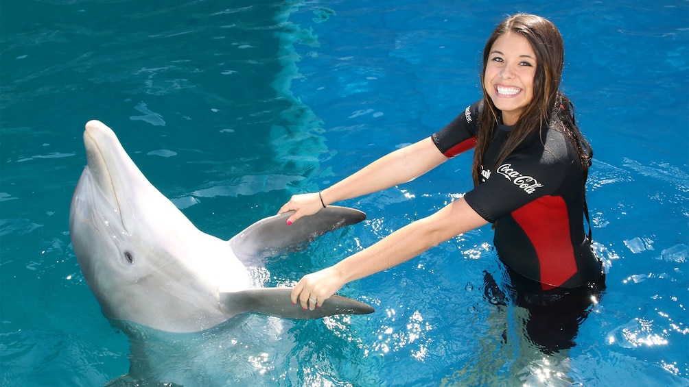 Fort Walton Beach Destin Dolphin Activities Tours In Fort Walton Beach Destin Dolphin