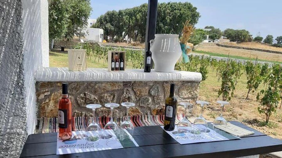 Wine Tasting Tour at a traditional farm in Mykonos