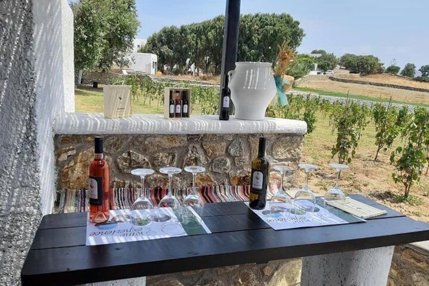 Wine Tasting Tour at a traditional farm in Mykonos