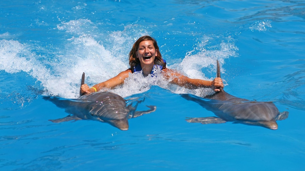 Show item 3 of 10. woman getting carried across the pool by dolphins in Panama City