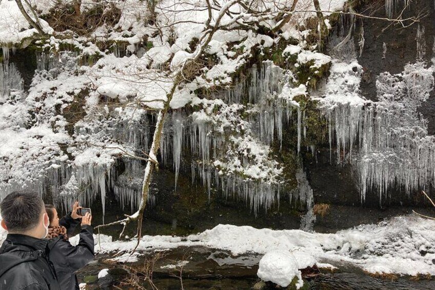 Icicle Trekking Nishiwaga Town, Iwate Prefecture