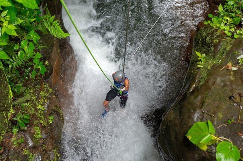 Tour 4 in 1 (Rappel, zipline, pool jumping & hike) with lunch and transportation