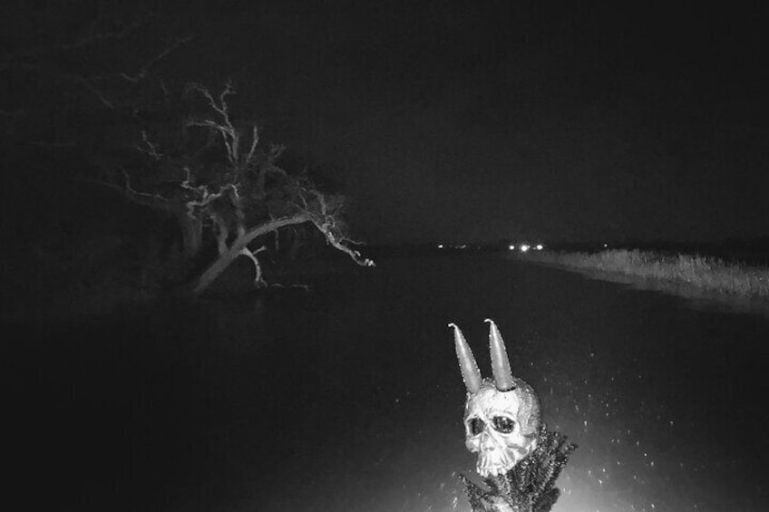 Skully out on the bayou
