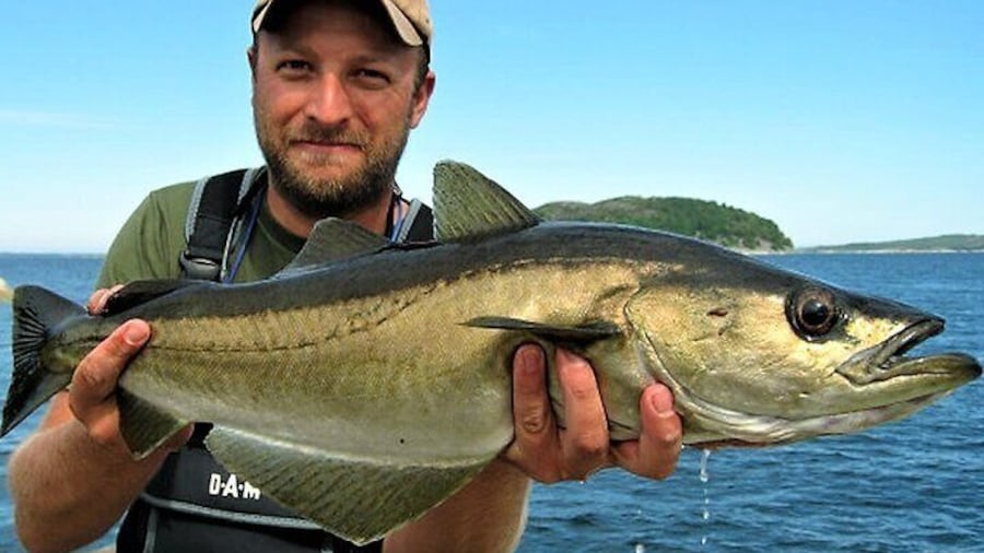 Sea fishing Donegal coast. Donegal. Private guided.