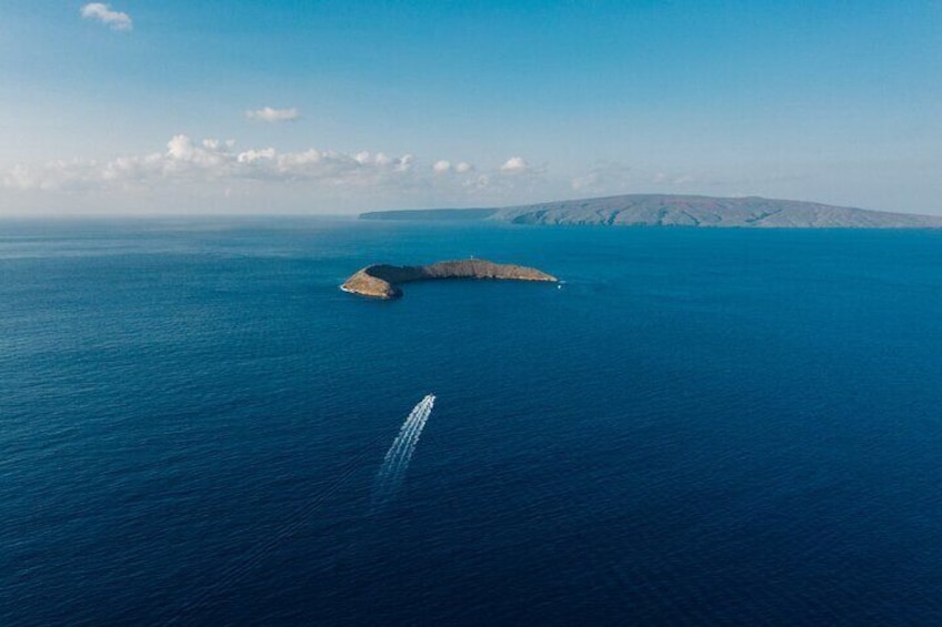 2hr Molokini Snorkel Trip - Redline