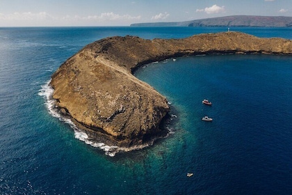 2-Hour Molokini Snorkel Trip