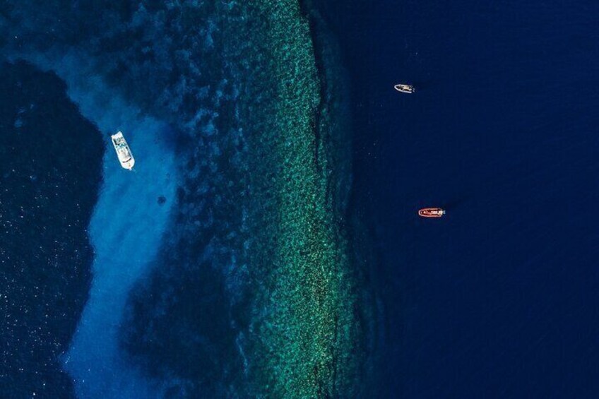 2hr Molokini Snorkel Trip