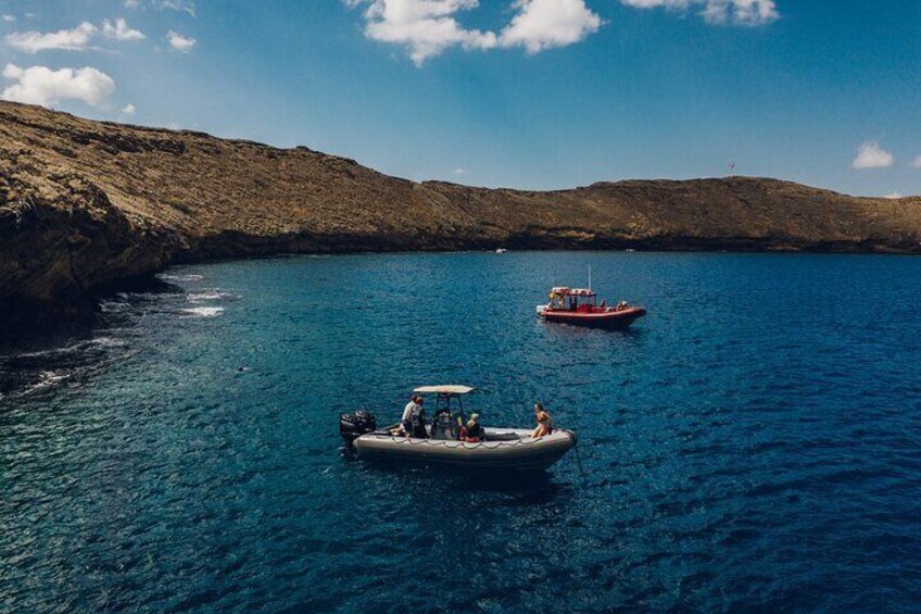 2hr Molokini Snorkel Trip